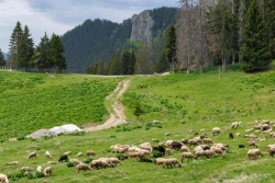 wandelreis-bulgarije-loopend-vuurtje-wandelreizen-europa