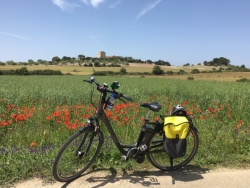Mallorca e-bike