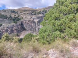 20220309_151400-1-e1654618709697