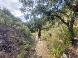 20220312_160442-e1654618741468