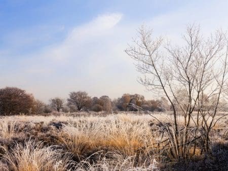 Veluwe wandelreis tijdens Oud & Nieuw