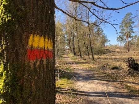 wandelen in Nationaal Park de Maasduinen