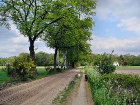 Scholtenpad Winterwijk 5 dagen wandelen in de Achterhoek