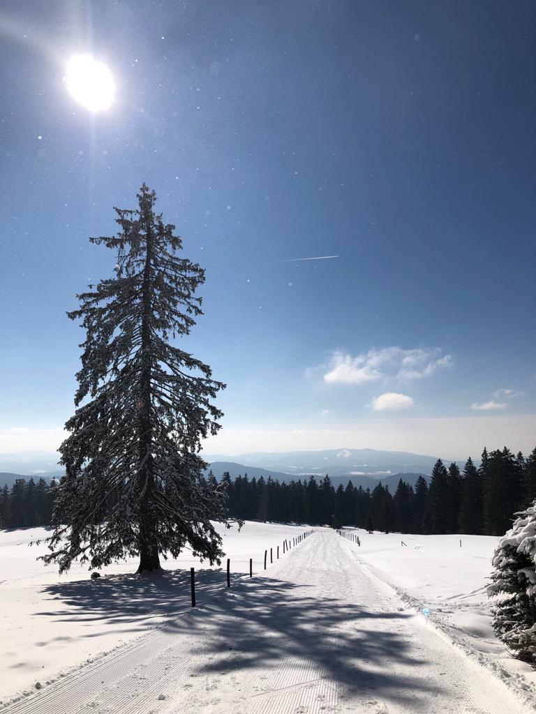 Winterwandelen Bayerischer Wald