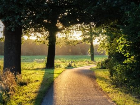 wandelvakantie Twente
